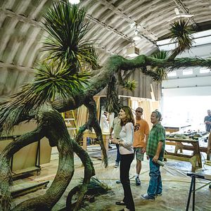 Fotoğraf The Glass Castle