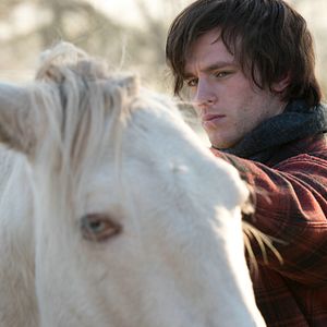 Fotoğraf Ostwind 3 - Aufbruch nach Ora