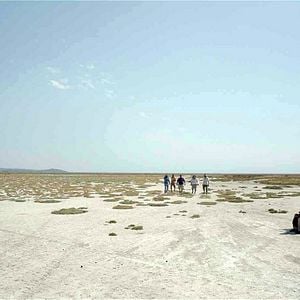 Fotoğraf Amigos Meksika Hazinesi