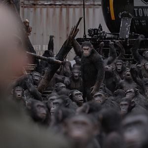 Fotoğraf Maymunlar Cehennemi: Savaş