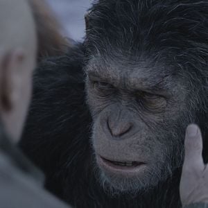 Fotoğraf Maymunlar Cehennemi: Savaş