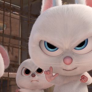 Fotoğraf Fındık İşi 2