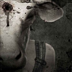 Fotoğraf Leatherface