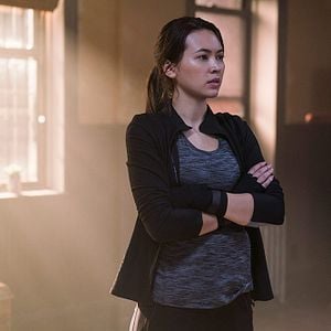 Fotoğraf The Defenders