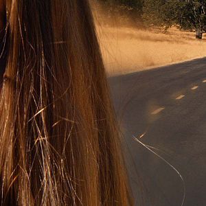 Fotoğraf Dehşet Yolu