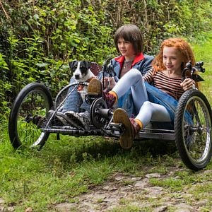 Fotoğraf Sevimli Dostlar