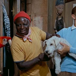 Fotoğraf Tenten ve Altın Post