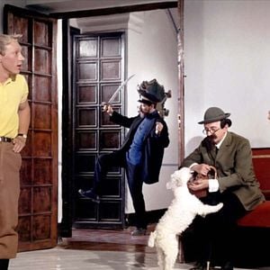 Fotoğraf Tenten ve Altın Portakallar