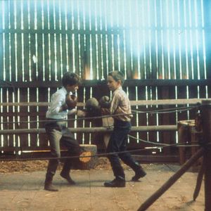 Fotoğraf Bir Köpek Olarak Hayatım