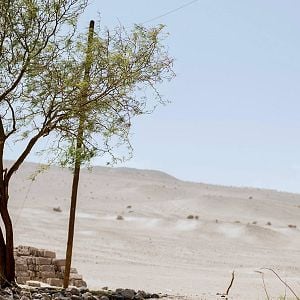Fotoğraf Una Especie de Familia
