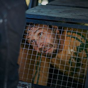 Fotoğraf Armomurhaaja