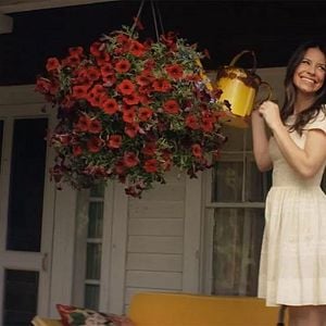 Fotoğraf Minik Şeytan