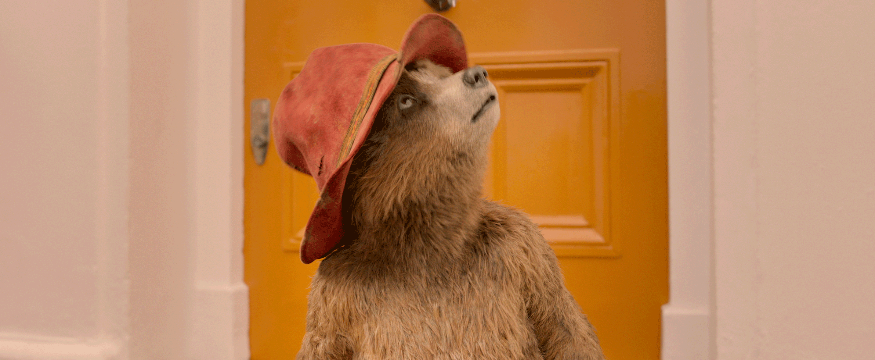 Fotoğraf Ayı Paddington 2