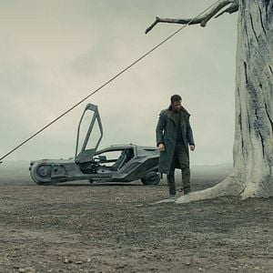 Fotoğraf Blade Runner 2049: Bıçak Sırtı