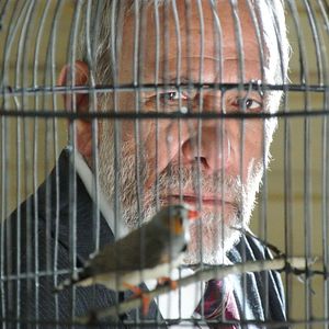 Fotoğraf Kishvard Manvelishvili