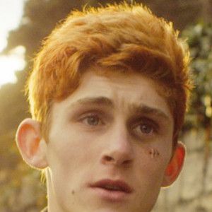 Fotoğraf Fionn O'Shea