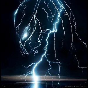 Fotoğraf The Predator