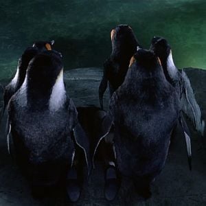 Fotoğraf Batman Dönüyor