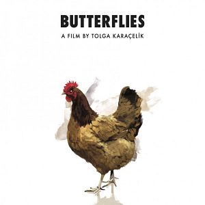 Fotoğraf Kelebekler