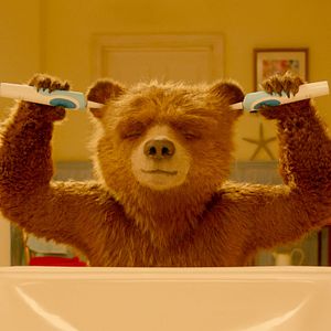 Fotoğraf Ayı Paddington 2