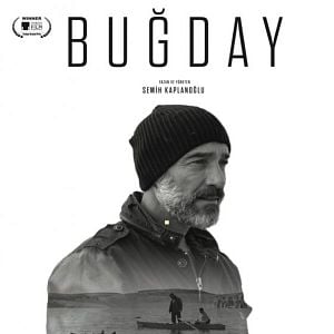 Fotoğraf Buğday