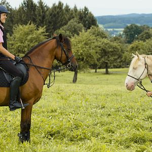 Fotoğraf Jule Hermann