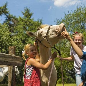 Fotoğraf Claire Wegener