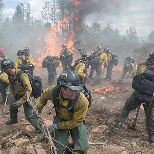 Fotoğraf Korkusuzlar