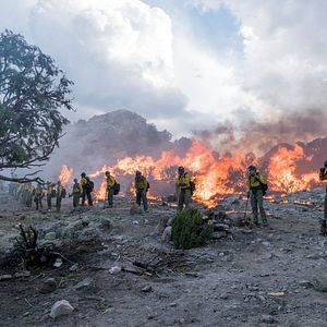 Fotoğraf Korkusuzlar