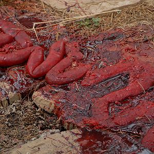 Fotoğraf Banshee Chapter