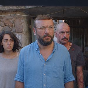 Fotoğraf Kelebekler