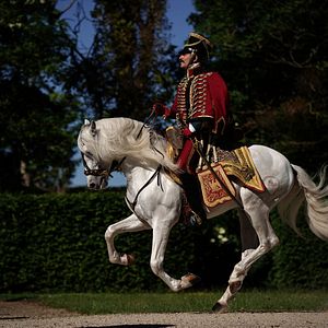 Fotoğraf Jean Dujardin