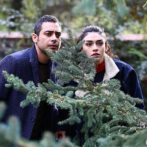 Fotoğraf Hayat Sırları