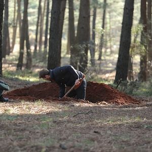 Fotoğraf Kırgın Çiçekler