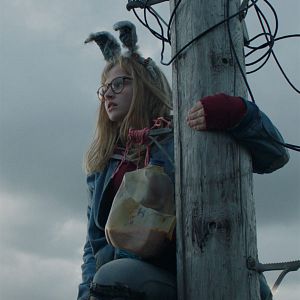 Fotoğraf Dev Avcısı