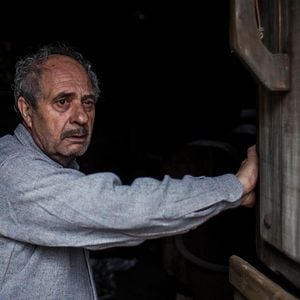 Fotoğraf Bajo la piel de lobo