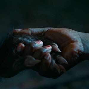 Fotoğraf As Boas Maneiras