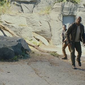 Fotoğraf Dwayne Johnson