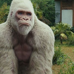 Fotoğraf Rampage: Büyük Yıkım