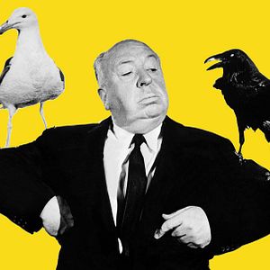Fotoğraf Alfred Hitchcock