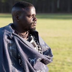 Fotoğraf Black Panther