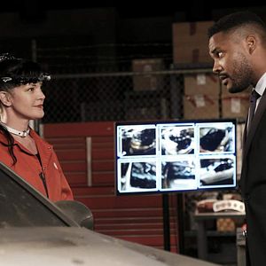 Fotoğraf Pauley Perrette