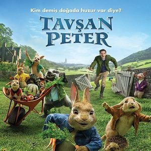 Fotoğraf Tavşan Peter