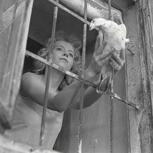 Fotoğraf Dorota Segda