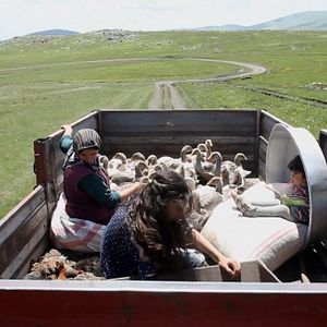 Fotoğraf Sessizliğin Kardeşleri