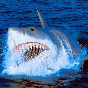 Fotoğraf Jaws: The Revenge