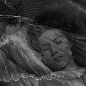 Fotoğraf Arzunun Kanatları