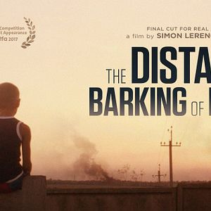 Fotoğraf Uzakta Havlayan Köpekler