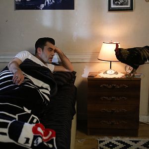 Fotoğraf Şevkat Yerimdar