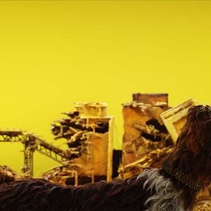 Fotoğraf Köpek Adası